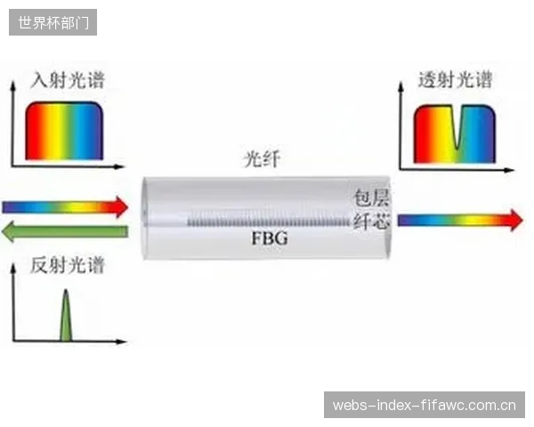 在5G-A网络支持下，桨架应变光栅的数据传输延迟低于5毫秒，实现了对运动员的实时力反馈